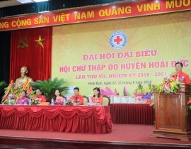 Ông Nguyễn Sỹ Trường - Chủ tịch Hội CTĐ Thành phố Hà Nội  phát biểu chỉ đạo Đại hội